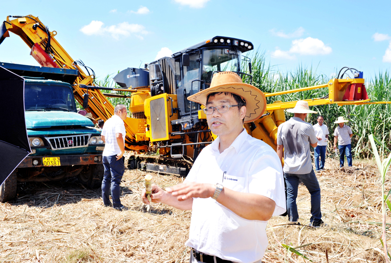 “鐵牛”“啃”甘蔗　“吸睛”又“吸粉”　柳工農機公司甘蔗生產全程機械化產品受追捧